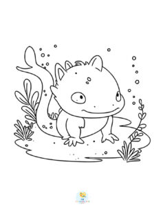 Axolotl coloring pages
