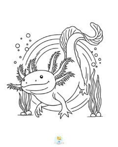 Axolotl coloring pages PDF