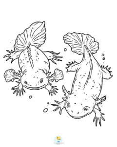 Axolotls coloring pages