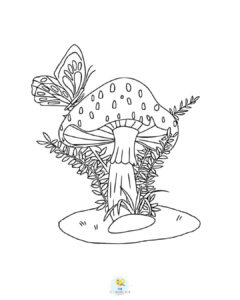 Butterfly on mushroom