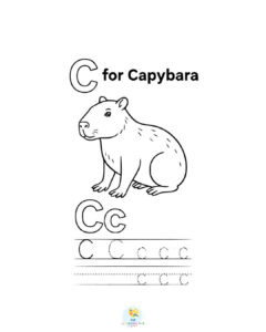 C for Capybara coloring page