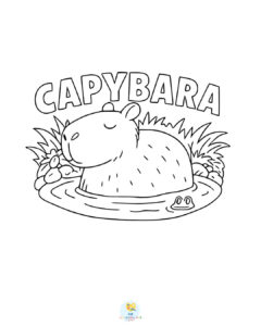 Capybara chilling in the pond