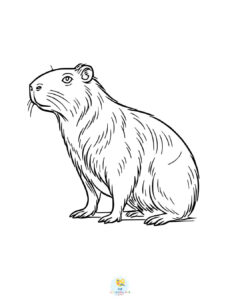 Realistic Capybara coloring pages PDF