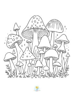 Easy mushroom coloring page