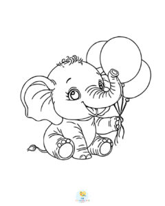 Elephant's birthday