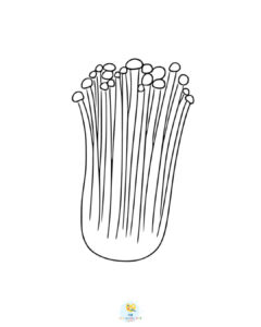 Enoki mushroom coloring page