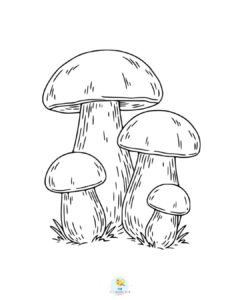 King Bolete Mushrooms coloring page