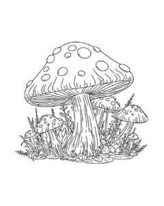 Mushroom coloring pages printable