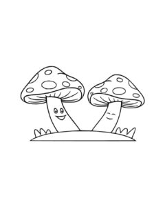 Mushroom couple
