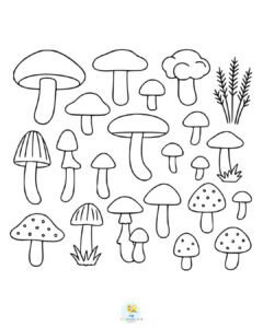Mushrooms coloring page