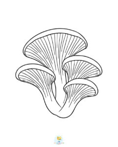 Oyster mushroom coloring page