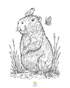 Realistic capybara coloring page
