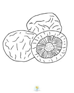 Shiitake mushroom coloring page
