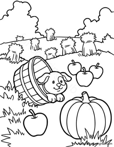 Dog At Farm