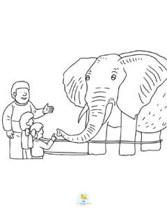 Elephant enclosure at zoo