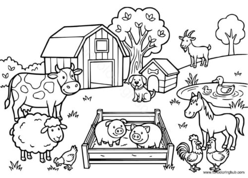 Farm Animals Posing