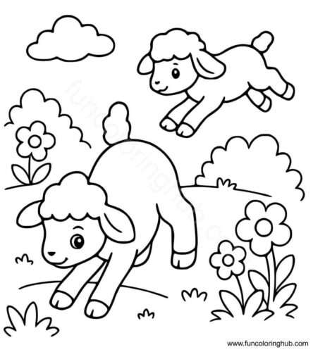 Lambs Enjoying On Farm
