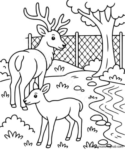 Printable Zoo Animals Coloring Pages