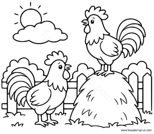 Roosters At Farm