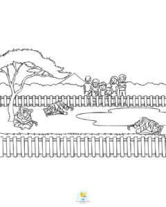 Tiger enclosure at zoo