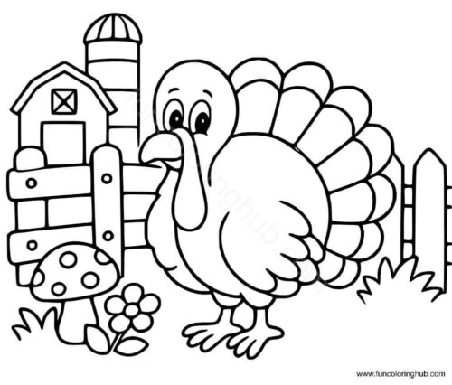 Turkey At Farm