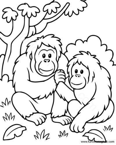 Zoo Coloring Pages For Kids