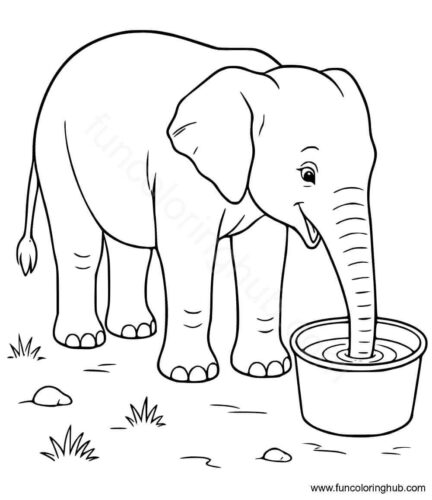 Zoo Coloring Pictures