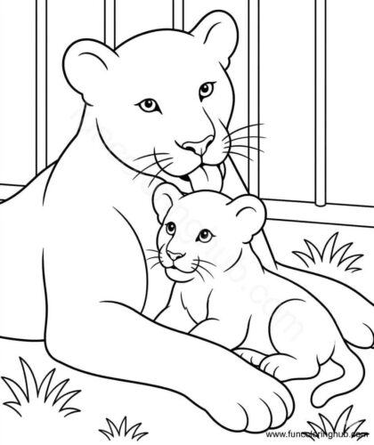 Zoo Lion Coloring Pages
