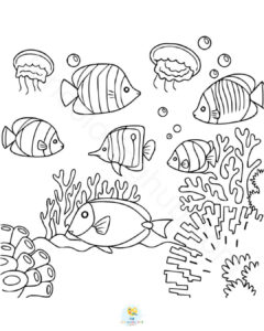 Fish coloring pages PDF