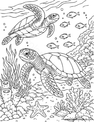 Free Printable Ocean Coloring Pages For Adults