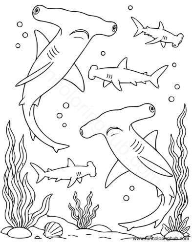 Hammerhead Shark Coloring Pages