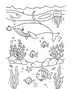 Humpback whale coloring page printable
