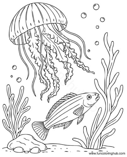 Jellyfish Coloring Pages