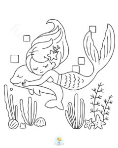 Mermaid with dolphin