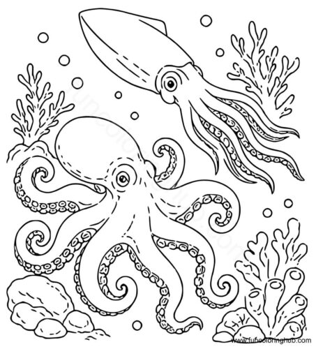 Octopus Coloring Pages For Adults