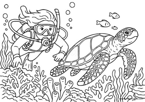 Scuba Diver with a turtle