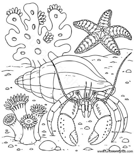 Sea Life Coloring Pages For Adults
