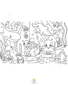 Sea animals happily living together