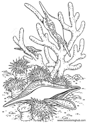 Under The Sea Coloring Images