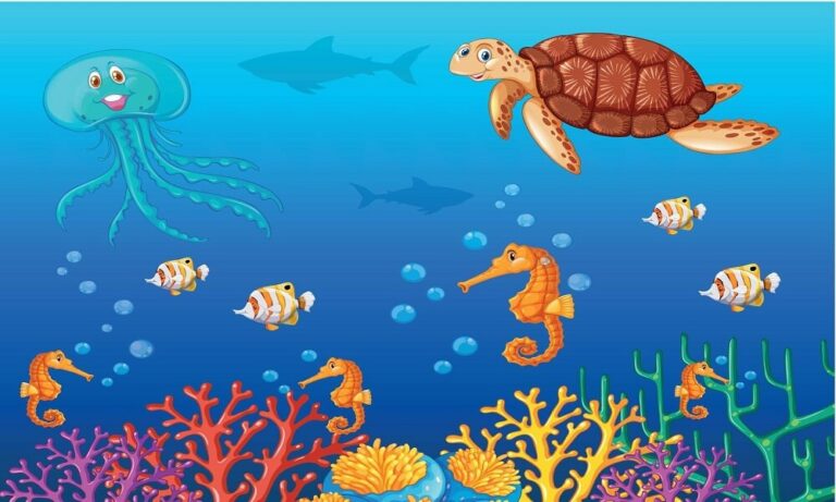 Under the sea