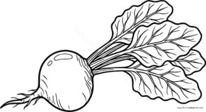 Beet coloring page