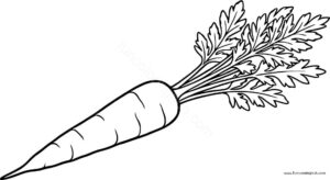 Carrot coloring page