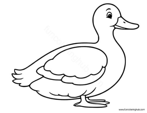 A big fat duck