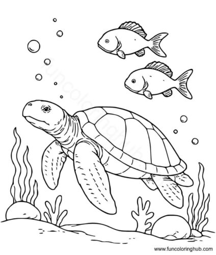 Archelon extinct sea turtle Archelon extinct sea turtle