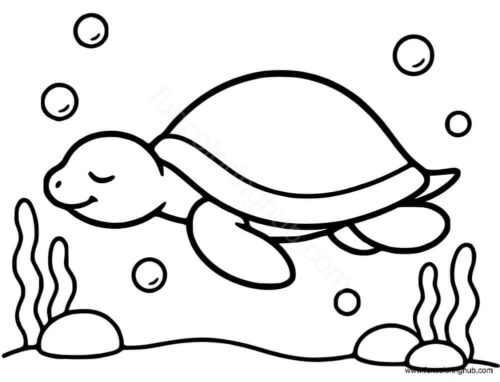 Calm turtle coloring page Calm turtle coloring page