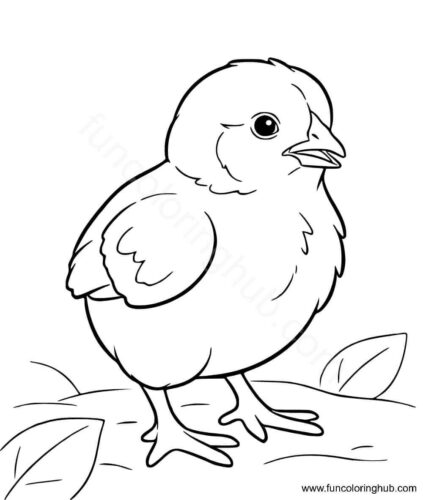 Chick coloring page