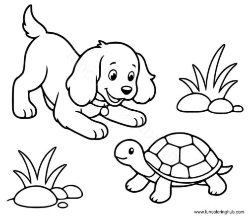 Dog playing with a turtle Dog playing with a turtle