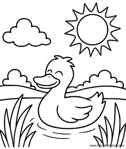 Duck enjoying summer