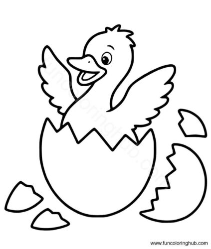 Duck hatching from an egg