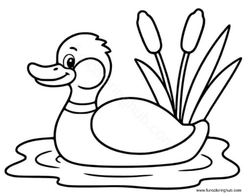 Duck in a pond